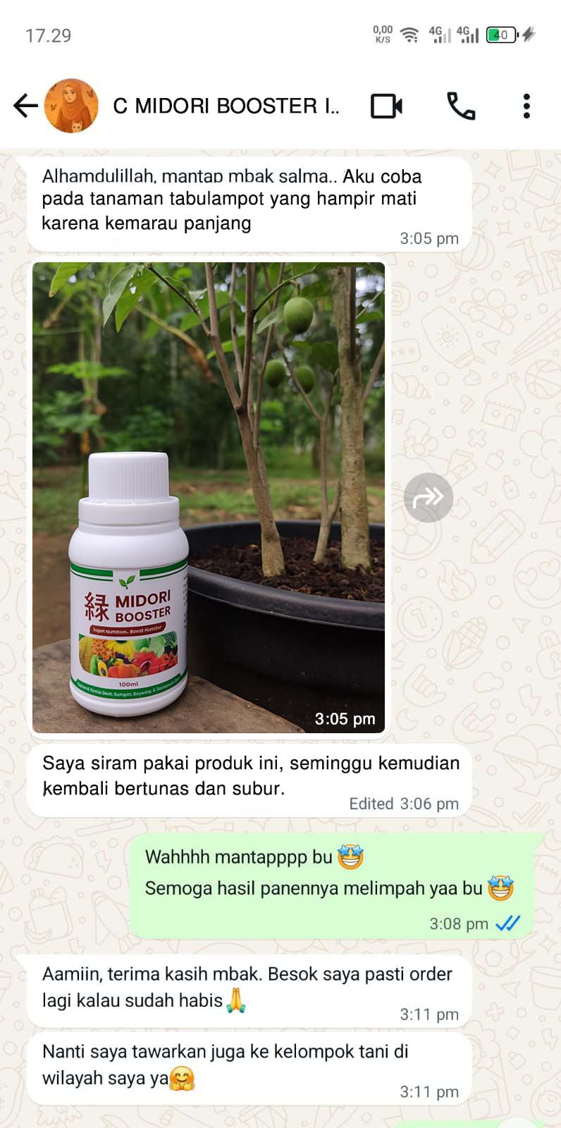 testi midori 1
