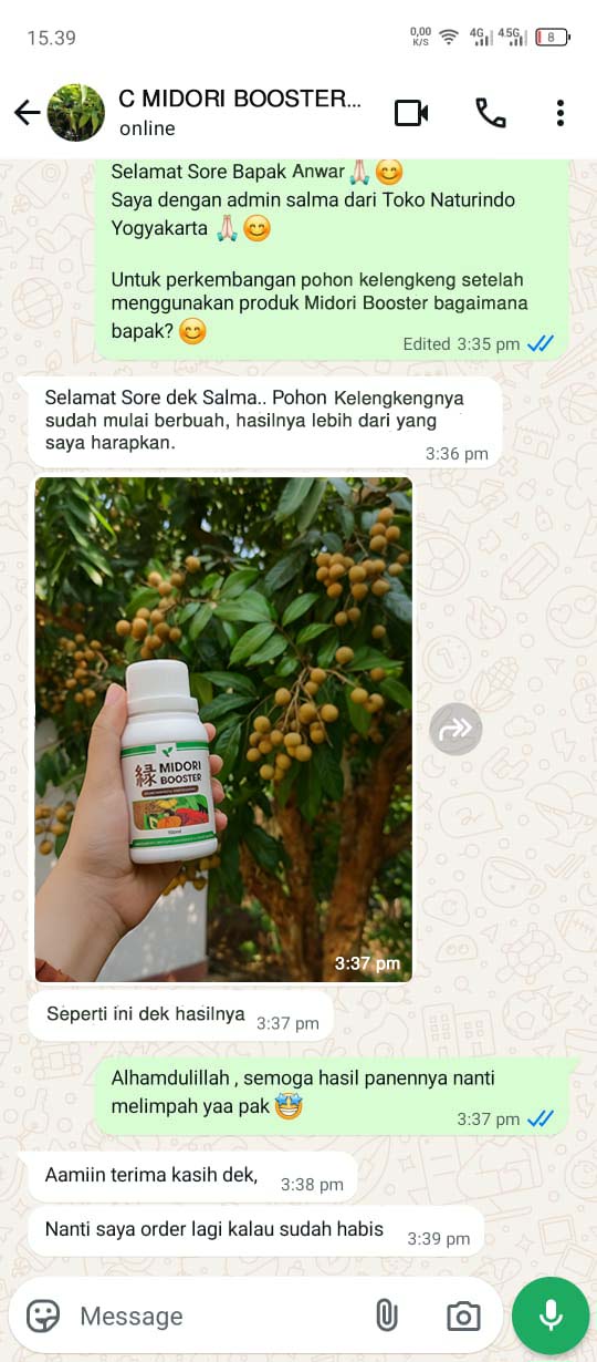 testi midori 2